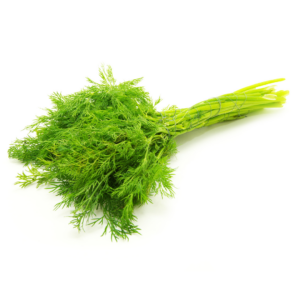 import placeholder for 1044