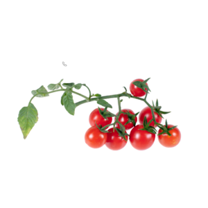 import placeholder for 1050