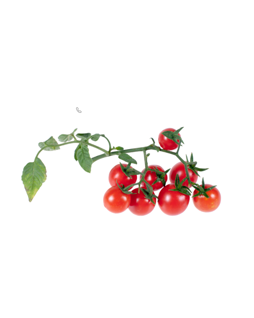 import placeholder for 1050