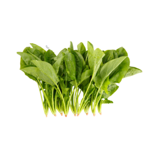 import placeholder for 1056