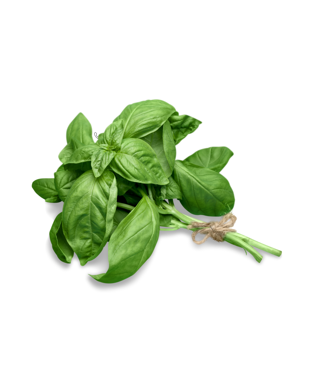 import placeholder for 1058