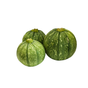 import placeholder for 1060