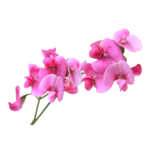 import placeholder for 1062